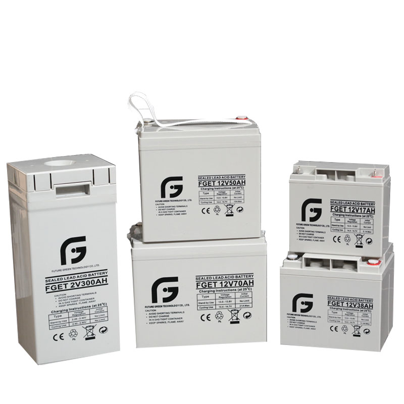 6V 10Ah AGM Blei-Säure-Batterie für Alarm-Notlicht