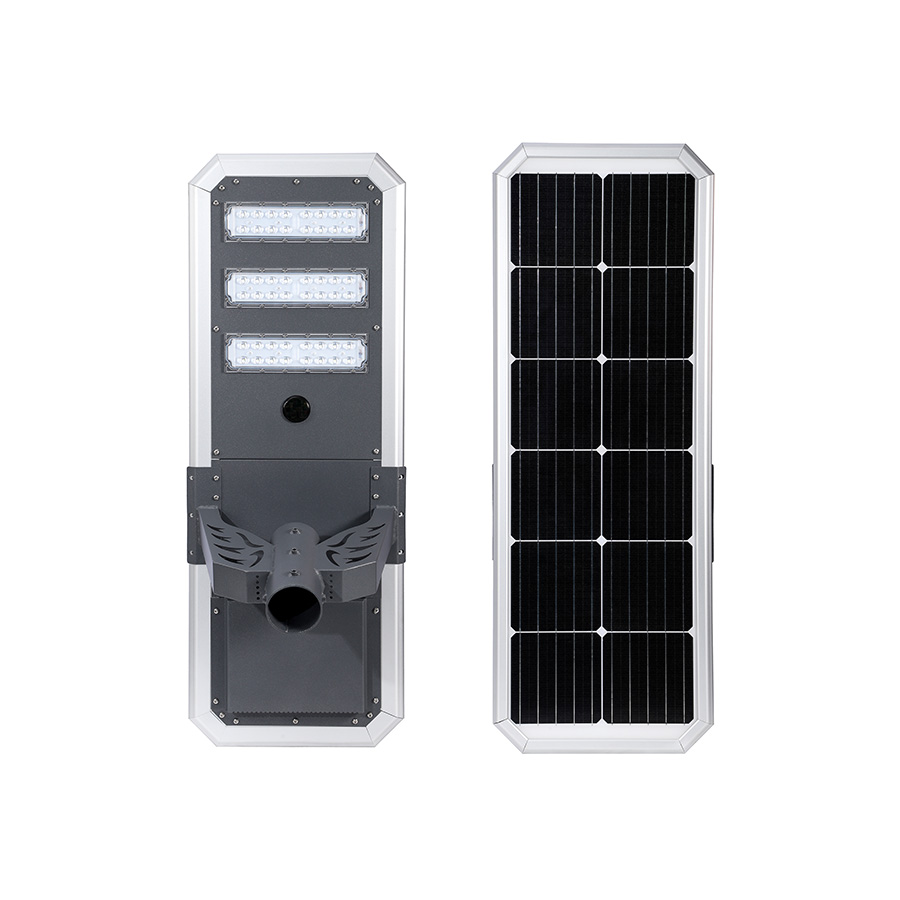 Type D The Best Solar Light Commercial & Municipal Project Solar Street Light with Factory Price